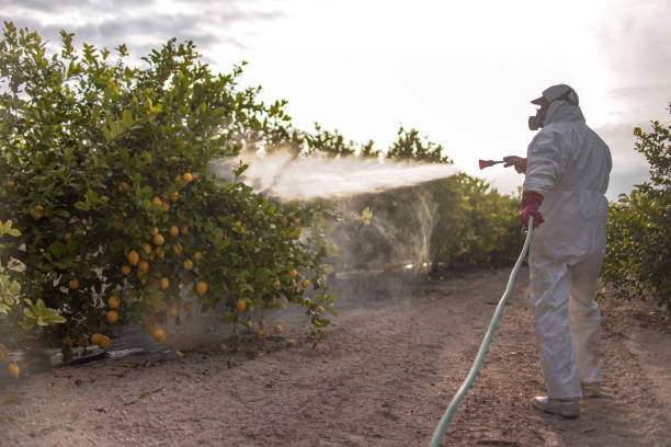 Insect Control in Stevensville, MI